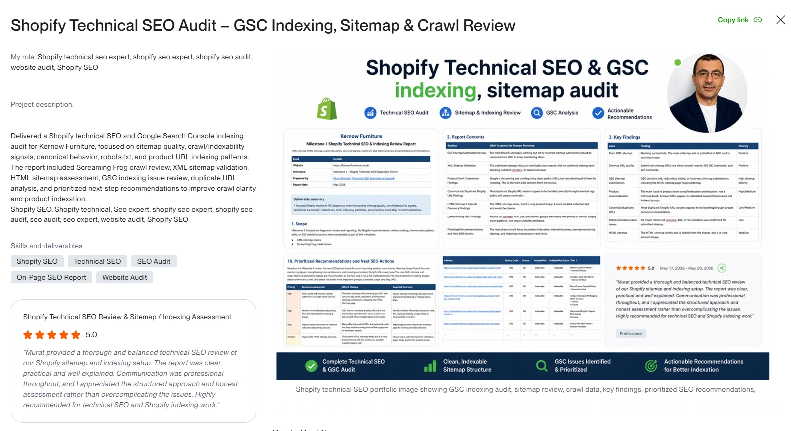 Shopify Technical SEO audit portfolio case study